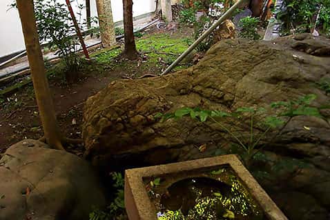 中庭長寿亀の石